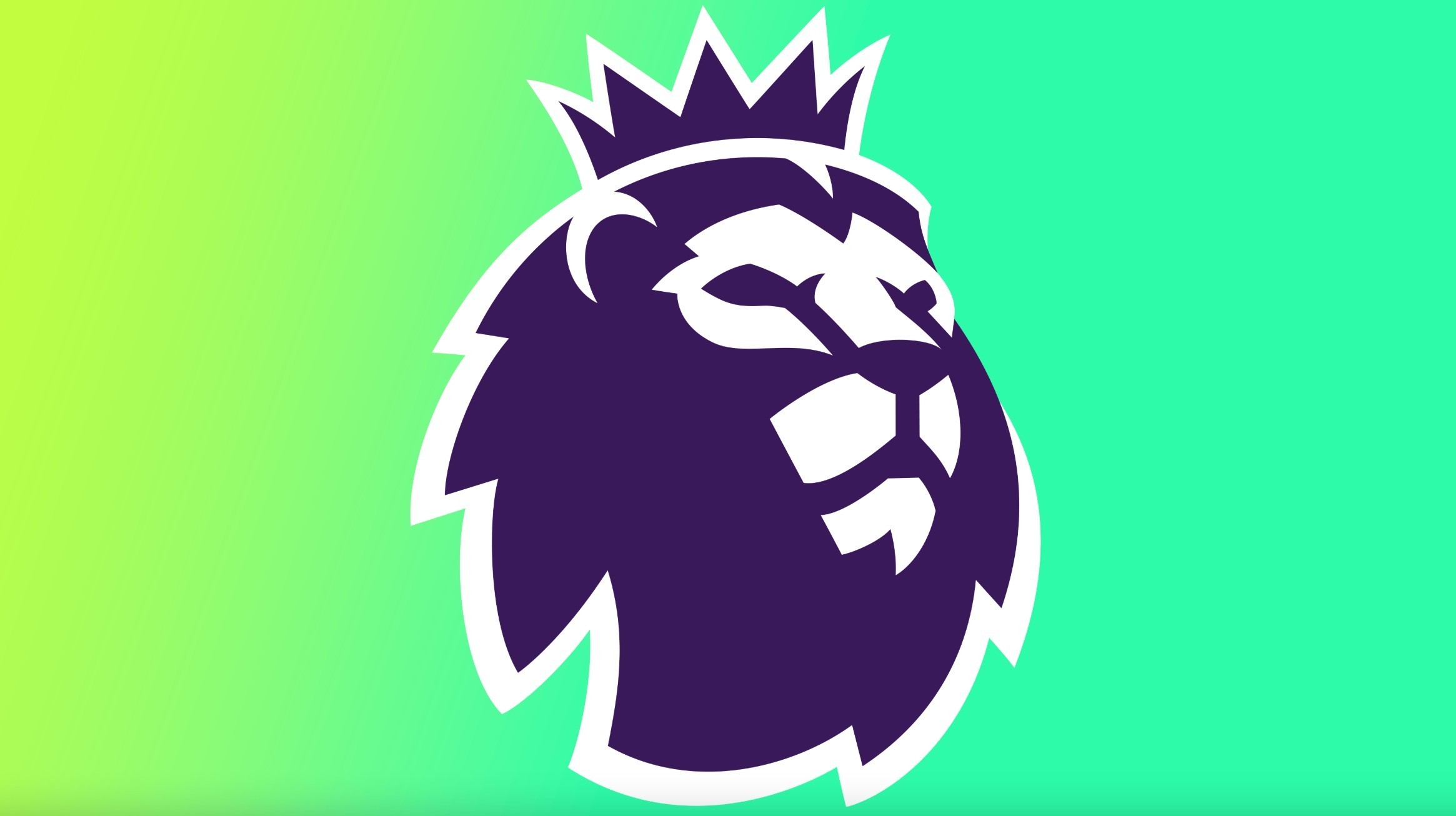 法国队的成 法国队的成